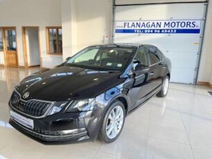 2019 - Skoda Octavia Manual