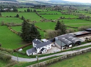 Cornan (3 Acres), Baltinglass, Wicklow