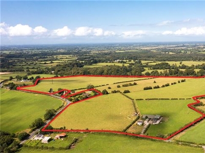 Carrick Farmhouse & Lands, Approx. 29 Hectares (74 Acres), Carbury, County Kildare