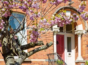 19 Northbrook Road, Ranelagh, Dublin 6