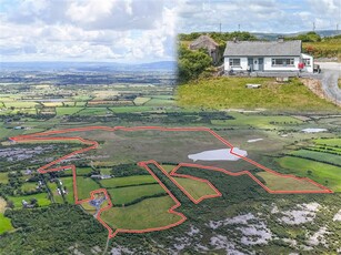 Lot 1 Poulataggle, Gort, County Galway H91 K83H