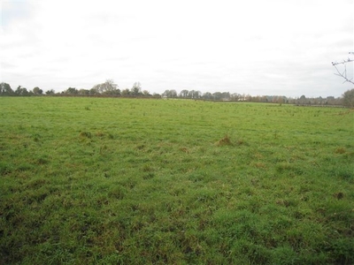 Caherdague, Edgeworthstown, Longford