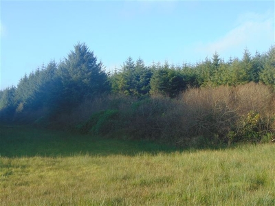 Maulyarkane, Anablatha,, Killarney, Kerry