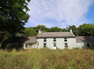 Gortnadihy, Leap, West Cork