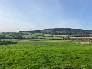 Ballybeg, Ferns, Wexford