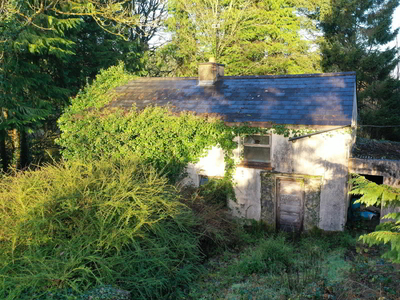 Finnor Croghan, Boyle