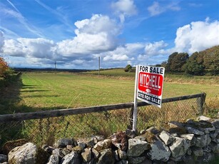 Old Road Grange, Bruff, Limerick