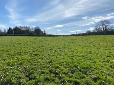 19 Acres, Mooretown, Castlepollard, Westmeath