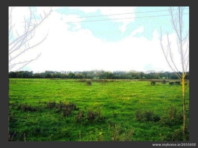 c.24 Acres At Milltown, Kilcock, Meath