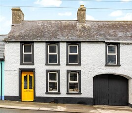 Patrick Street, Portarlington, Offaly