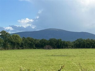 Ballynagrane, Borris, Carlow