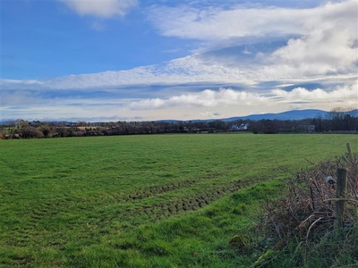 .50 Acre Sites, Newtown, Fenagh, Co. Carlow