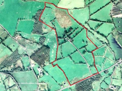 Lands & Farmhouse Aghnahola, Drumbure, Scotstown, Monaghan