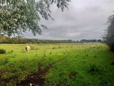 c. 8 Acres, Eagle Hill, Suncroft, Curragh, Kildare