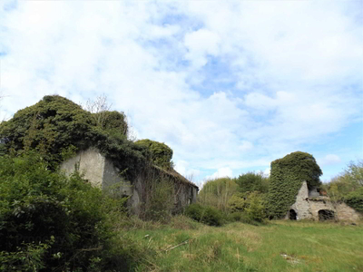 Shortt`S Castle Ballybritt, Roscrea