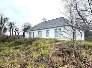 Fahy Beg, Newport, Co. Mayo