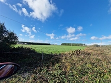 newtown, doonbeg, clare