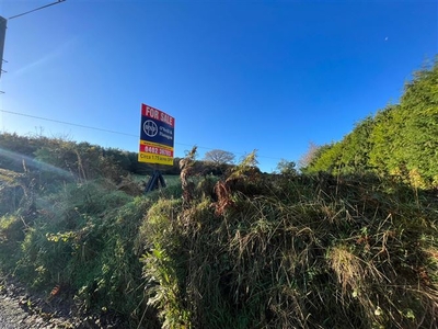 Shroughmore Hill, Conary Upper, Avoca, Wicklow