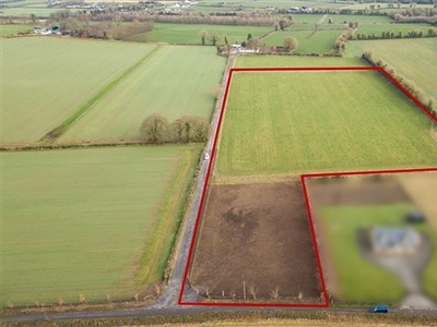 8.76 Acres Land, Mountrice, Monasterevin, Co. Kildare