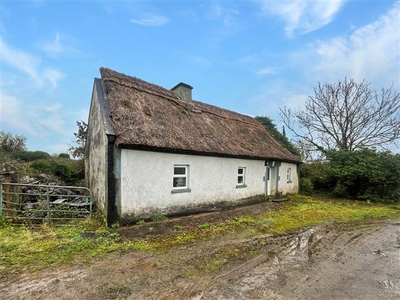 Fiddaun, Gort, County Galway