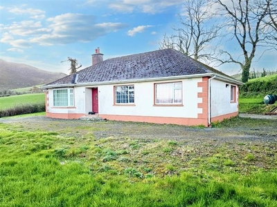 Glenaguile, Gortnagarry, Toomevara, Nenagh, Co. Tipperary