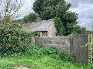 Carlow Road Ballylynan, Athy, Kildare