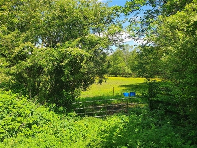 Rathmore, Carbury, Kildare