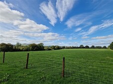 approx. 16.2 ha 40 acres , cooladangan , arklow, wicklow