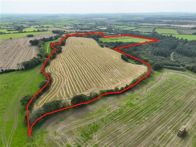 36.8 Acres / c. 14.9 Hectares Agricultural Holding at Harperstown, Taghmon, Wexford