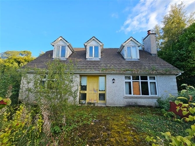 Lower Grange, Mullinahone, Co. Tipperary