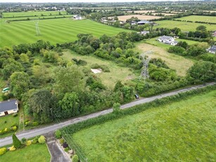 Painestown, Tara, Meath