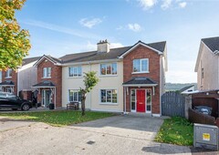 20 sycamore close, greenhill village, carrick on suir, carrick-on-suir, co. tipperary