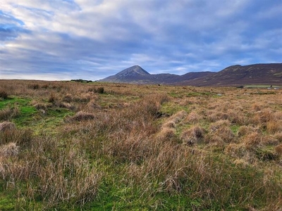 Owenwee, Westport, Mayo