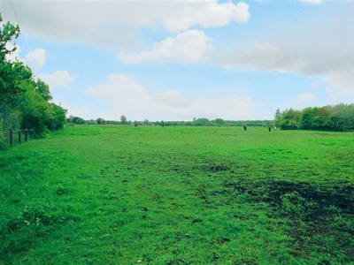 Derrycrib, Donadea, Kildare