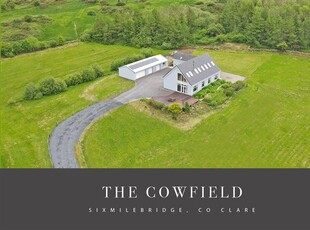 The Cowfield, Cappanalaght, Sixmilebridge, Clare