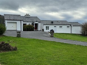 Ref 1157 - Freckles, Castlequin, Caherciveen, Kerry