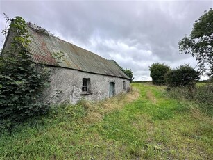 Vacant Farm Cottage on 1 Acre, Clane, Kildare