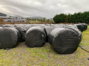 70 Bales Of Silage, Nenagh