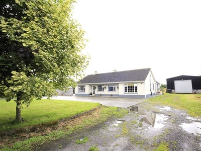 Portmount Stud, Cappagh North, Portlaoise, Laois