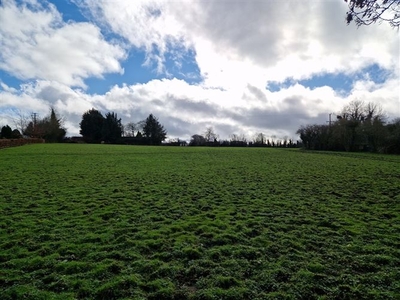 Graigues, Robertstown, Co. Kildare