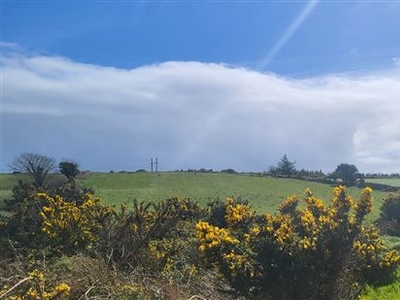 Gortnasowna, Dunmanway, West Cork