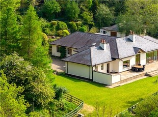 The Field, Curtlestown Lower, Enniskerry, Co. Wicklow