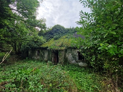 Shanragh Cottage, Ballylynan, Laois