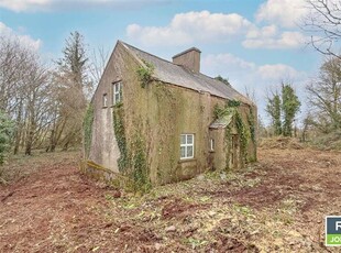 Oakhampton, Newport, Tipperary