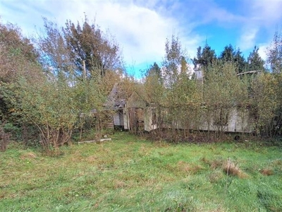 Lands At Ballinacrowe, WW4251, County Wicklow