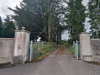 Pallas Street, Borrisoleigh, Co. Tipperary