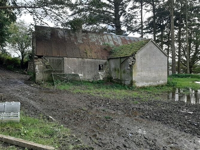 Dwelling in need of restoration standing on c. 0.26 hectares, Ballinacor, Tinahely, Wicklow