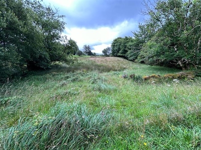 0.71 Acre Land Folio KY33838, Derrynafinna, Clonkeen, Killarney, Co. Kerry