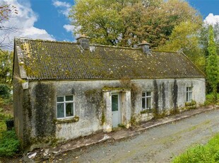 Ballyduffy, Moyne, County Longford