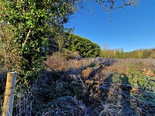 Ardnew, Longwood, Meath